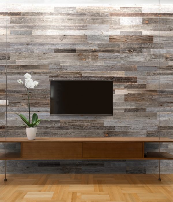 silver-color-boards-behind-tv-02